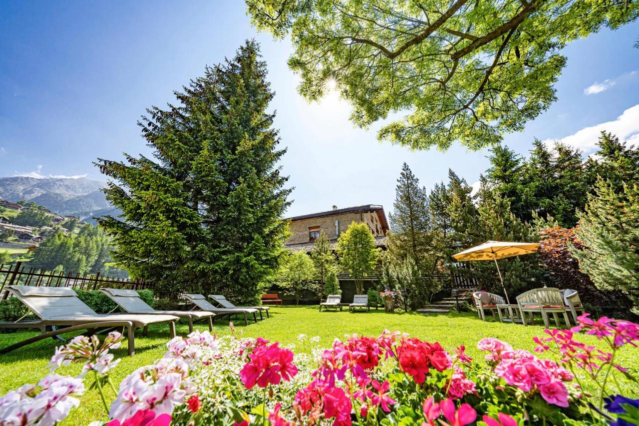 Hotel Du Grand Paradis&Wellness La Baita Cogne Exterior foto
